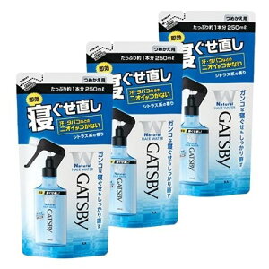 y3܁z}_ Mcr[ GATSBY QEH[^[ l֗p 250ml wAX^CO j
