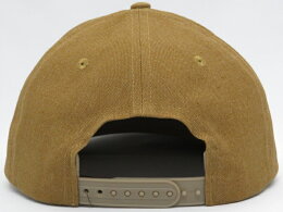 Patagoniaパタゴニア【ハワイ】【Hawaii直輸入】TINSHEDHATキャップ・スナップバックCorianderBrown