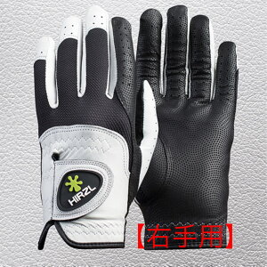 E葕p HIRZLwn[cFxTRUSTCONTROL2.0wgXgRg[xfB[X StO[u (Ep) zCg^ubN 18cm`21cm  Stq St Stpi J 