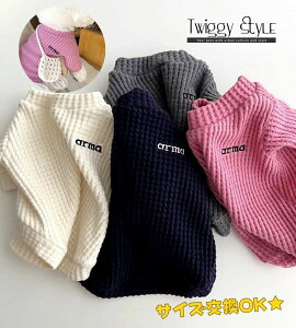  H~ H ~ yTCYOKz g[i[ TVc T Jbg\[ pW}  hbOEFA H ~ Vv  킢  g ^ ^ v`v ̕ 