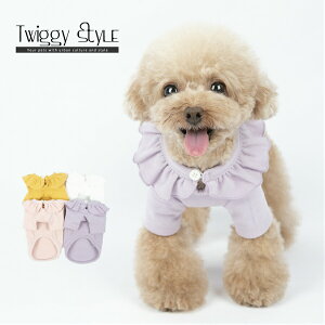 y2_w100~OFFz  hbOEFA t H yTCYOKz t H 킢  Vv v`v pTVc tJ[X[Xjbg