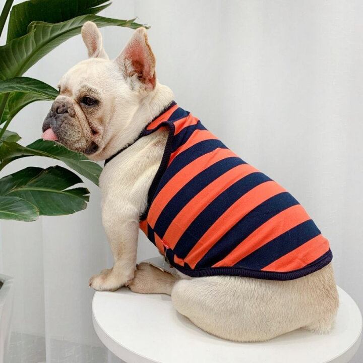 楽天市場 犬 犬服 ドッグウェア 夏 春 夏服 春服 ブルドッグ フレンチブルドッグ フレブル 可愛い おしゃれ 犬用タンクトップ ブルドッグサマールームウェア サイズ交換対応 Twiggy Style シンプル可愛い犬服 楽天市場 犬 犬服 ドッグウェア 夏 春 夏服 春服 ブルドッグ フレンチブルドッグ フレブル 可愛い おしゃれ 犬用タンクトップ ブルドッグサマールームウェア サイズ交換対応 Twiggy Style シンプル可愛い犬服