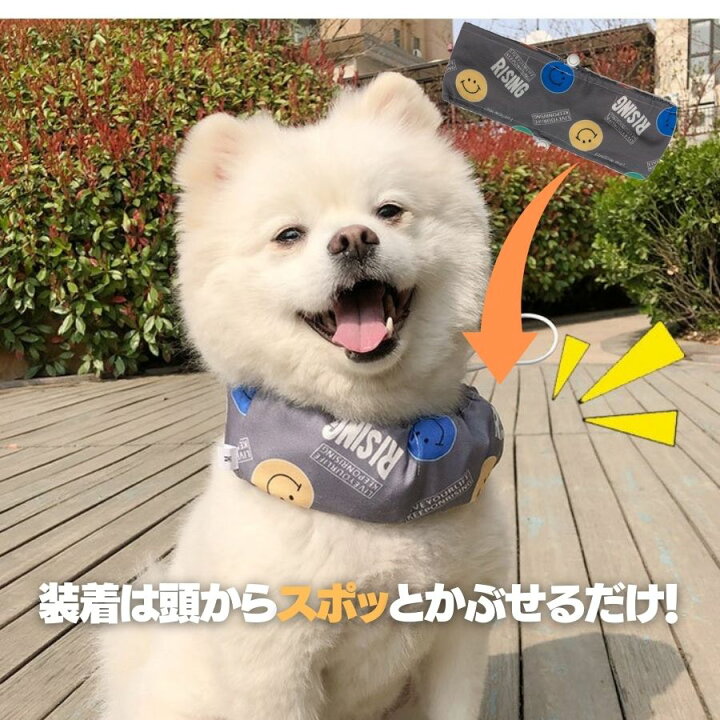 楽天市場 再入荷 クールバンド 保冷剤付き 犬 クールバンダナ 夏 ペット用暑さ対策 首ひんやり 熱中症対策 冷却 首冷やす つめたい ネッククーラー クールネック クールスヌード スカーフ 小型犬 中型犬 おしゃれ かわいい 散歩 ひんやりクールバンダナ 保冷剤付き