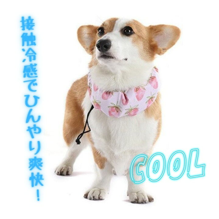 楽天市場 再入荷 犬用クールバンド 保冷剤付き 犬 クールバンダナ 夏 ペット用暑さ対策 首ひんやり 熱中症対策 冷却 首冷やす つめたい ネッククーラー クールネック クールスヌード スカーフ 小型犬 中型犬 おしゃれ かわいい 散歩 ひんやりクールネック Twiggy