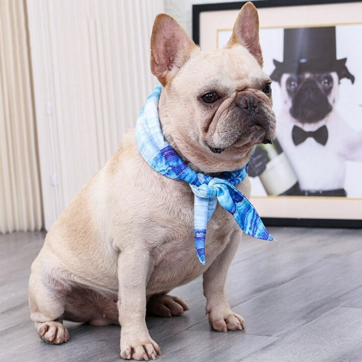 犬用クールバンド 保冷剤付き つめたい 熱中症対策 クールバンダナ 夏 犬 首ひんやり 首冷やす ネッククーラー ペット用暑さ対策 冷却