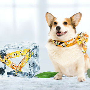 y2_w100~OFFz  N[lbN  ybgp΍ Ђ MǑ΍ p ₷ ߂ lbNN[[ N[o_i N[Xk[h XJ[t ^ ^ 