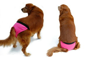  p yTCYOKz@pc Tj^[pc }i[pc Vv v`v VvTj^[pc