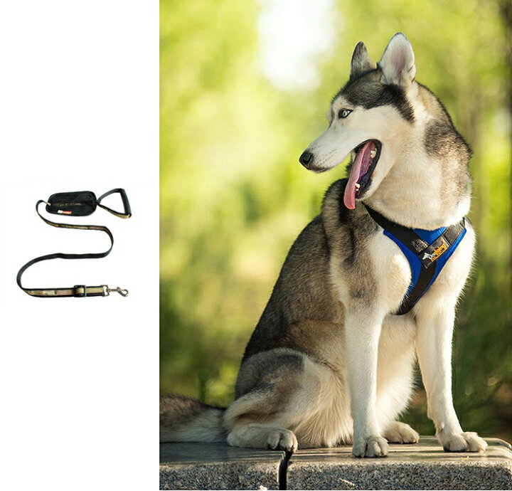 楽天市場 ポイント５倍 犬 犬用ハーネス 胴輪 プチプラ シンプル 大型犬 中型犬 小型犬 使いやすい チェストストラップハーネス リード付き サイズ交換対応 Twiggy Style シンプル可愛い犬服