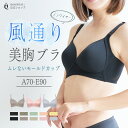 【セール】【期間限定30％OFF 7/19 20:00〜7/26 1:59】 ツイクロス風通り美胸ブラ カドリールプラス Tシャツブラ 脇高 ブラジャー ノンワイヤー ノンワイヤーブラ モールド 透けにくい 通気性 響かない 美胸 フルカップ 補正