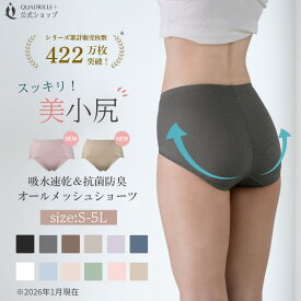 ツインクロス速乾オールメッシュショーツガードル カドリールプラス 吸水速乾 ショーツ 汗対策 美尻 ヒップアップ ヒップメイク ぽっこりお腹 ひびかない 透けにくい ガードル ソフトガードル 下着 補正下着