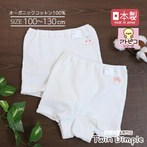 y{zAgsR1V[c2g 100/110/120/130 |Cg 傤  LbY pc ̎q I[KjbNRbg pc Ags[ q