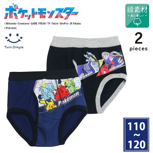 y|Cg10{IyVX[p[Z[ 12/4()20X^[gz y2025H~Vz|Pu[tpc 2g 110/120 LbY pc j̎q [OK (A2900Sj