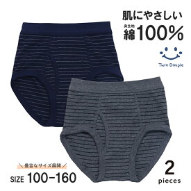 男児ブリーフパンツ 2枚組 (ボーダー柄) キッズパンツ ジュニア メンズ 下着 綿100% 2枚セット 前開き 子供 男の子 100/110/120/130/140/150/160 (3083) メール便OK