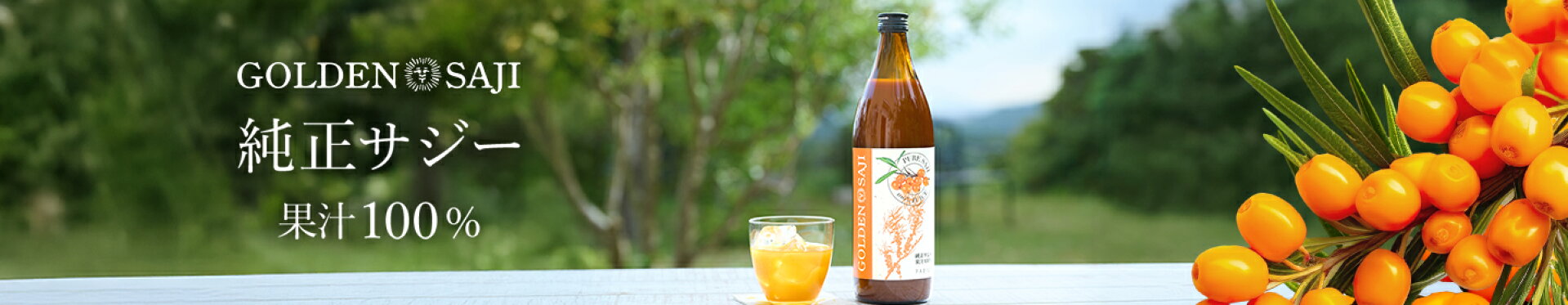 ゴールデンサジー_共通バナー