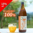 【楽天スーパーSALE15%off】ファビウス 公式 ゴールデンサジー [890ml (30日分)] 軽量カップ付き サジージュース 果汁…