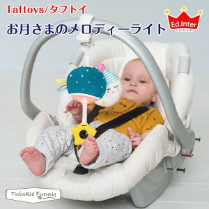 GhC^[ taftoys/܂̃fB[Cg