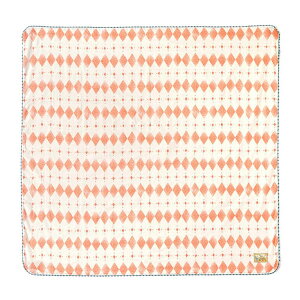 tBZ fB AmelieiAjXhRbg 21151008 10mois