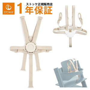 y{K̔XzXgbP n[lX 2 gbvgbv xr[ Ԃ xr[`FA xg xr[Zbg XgbPpANZT[ nC`FA ֎q CX S ]h~ oYj