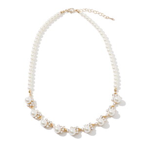 lbNX p[  ANZT[ tH[} p[eB[ fB[X 50cm EFfBO Vv {[ V[g