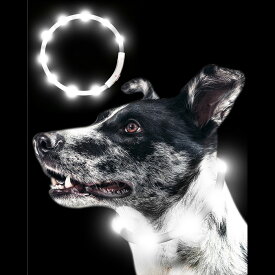 ＼数量限定200円OFFクーポン配布中／【獣医師監修】Qbit 光る LED 首輪【400m先から見える】充電式 選べる7カラー 犬 猫 ペット USB 発光 事故防止 散歩 最大50cm サイズ調整可能 Qbit