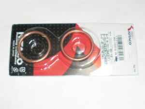 CB250RS CB250RSZ }t[KXPbg