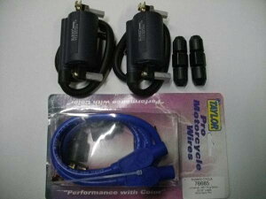 GSX250E�S�L GSX400E�S�L �����^�C�v �C�O�j�V�����R�C��