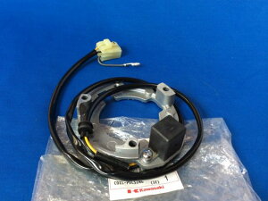 �[�t�@�[400 ZEPHYR400 �p���V���O�R�C�� ����