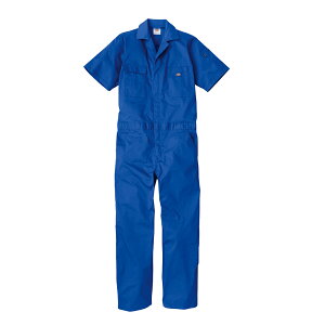 fBbL[Y  Ȃ iS9FjjZbNX ƒ [NEFA ƒ NVbNCXpCA Xgb` z LxȃJ[ Dickies Y fB[X AEghA Lv `