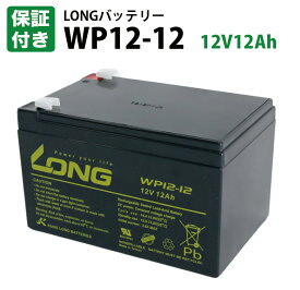 【保証書付き】WP12-12 12V12Ah UPS 溶接機 産業用鉛蓄電池 バッテリー 互換: NPH12-12 RE11-12 PE12V12F2/Z GP12120 HF12-12 HV12-12 LC-PA1212 12SSP12 PT1212 LC-RA1212 6-DZM-10 6-DZM-12