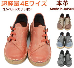 y1̂݌zy4ESxgXb|  EH[LO h b {v { fB[X RtH[g 炭 fB[X EȒP R L 22.0cm TC