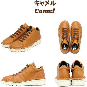 y1̂݌zy 4E  Xj[J[ V[gu[c EH[LO h b {v { fB[X RtH[g 炭 fB[X EȒP R L 22.0cm 