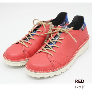 yzy 4E [XAbvV[Y _˃^[^ _˃ZNV  h b {v { fB[X RtH[g 炭 fB[X EȒP R L 