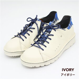 yzy 4E [XAbvV[Y _˃^[^ _˃ZNV  h b {v { fB[X RtH[g 炭 fB[X EȒP R L 