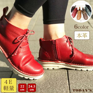 y 4E [XAbvANV[Y  EH[LO V[Y V[gu[c h b {v { fB[X RtH[g 炭 fB[X EȒP R L 22.0cm 