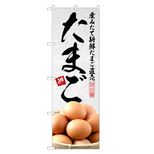 ̂ڂ ܂ ̂ڂ | ʎq  | lOD F24-0217C