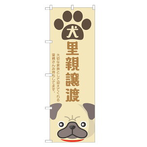 ̂ڂ  en lOD S17-0135B