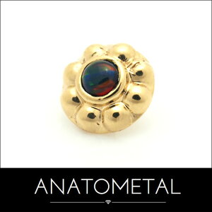 5mm 18 CvT Gh Pi (J{VJbg^2mmWF) ANATOMETAL