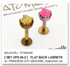 18Ga. �`�^���� �v�����Z�X�I�p�[�� �W�F���G���h 3mm �� �`�^���� ���u���b�g�V���t�g ANATOMETAL