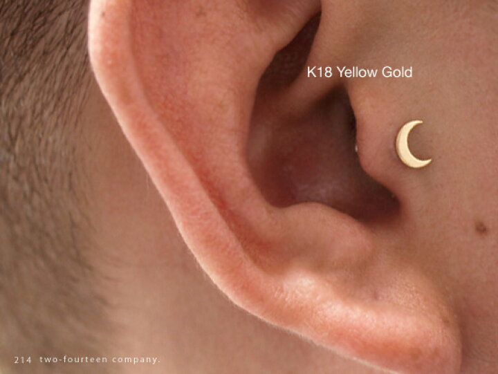 楽天市場】18金 ムーンエンド 単品 ANATOMETAL : 214Co．