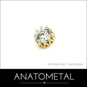 3mm 18 LOGh Pi (uAgJbg) ANATOMETAL