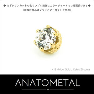 4mm 18 NC[Gh Pi (J{VJbg) ANATOMETAL