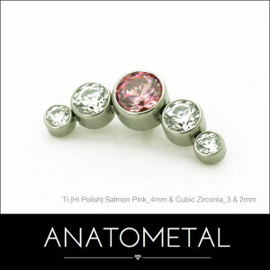 A[N5NX^[Gh^4mm & 3mm & 2mmiuAgJbgjPi ANATOMETAL