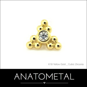 5.5mm 18 Tui3|CgGh PiiuAg^1.5mmjANATOMETAL