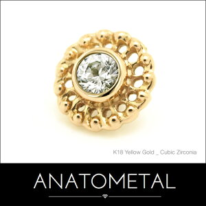 7mm 18 @[`Gh Pi (uAgJbg^3mmWF) ANATOMETAL