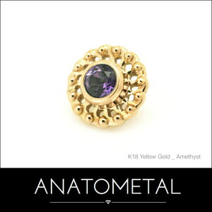 5mm 18 @[`Gh Pi (uAgJbg^2mmWF) ANATOMETAL