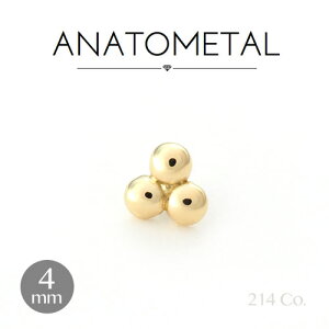 4mm 18 gCr[Y Ghi2mm×3 jPi ANATOMETAL