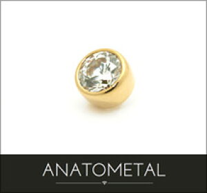 2.5mm 18 x[Zbg WFGh Pi ANATOMETALK18 \bh S[h WRjA 5A {fBsAX p[c Lb` C^[i C^[i[ o[xplW 18g 16g 14g 12g py