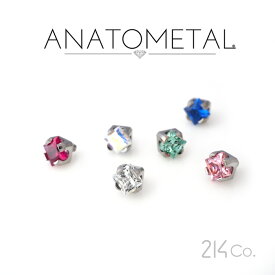 2mm プリンセスカット ジェムエンド 単品 ANATOMETAL