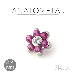 6.5mm XeX t[Gh Pii & ԂтuAgjANATOMETAL