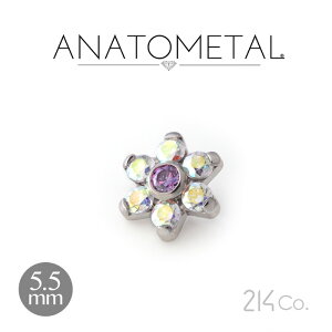 5.5mm XeX t[Gh Pii & ԂтuAgjANATOMETAL